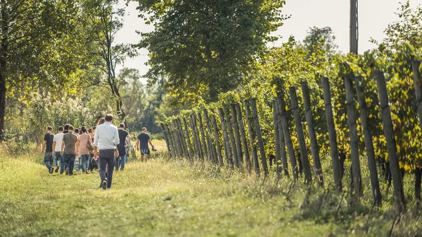 Torna Franciacorta in cantina