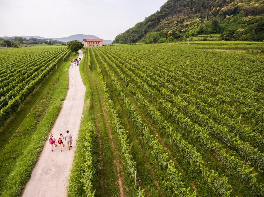 Torna Franciacorta in cantina