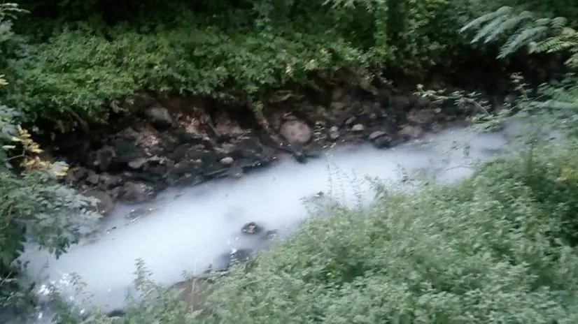 Inquinamento. La schiuma bianca nel canale a Cogozzo