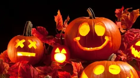 Il Grande Cocomero. Le zucche simbolo di Halloween