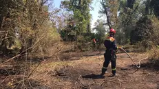 I segni dell'incendio nel Parco dell'Oglio