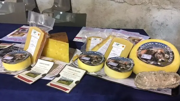 Orgoglio triumplino. Il formaggio sarà il protagonista assoluto della sagra