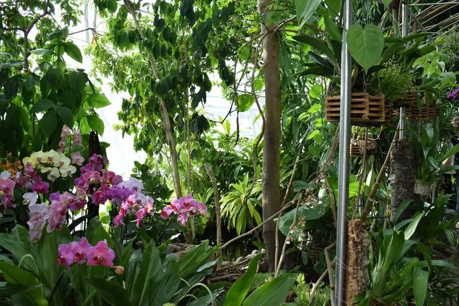 Visita al giardino della biosfera