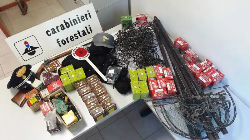 Parte del materiale sequestrato dai Carabinieri forestali - © www.giornaledibrescia.it