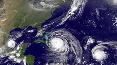 Irma semina morte e devastazioni