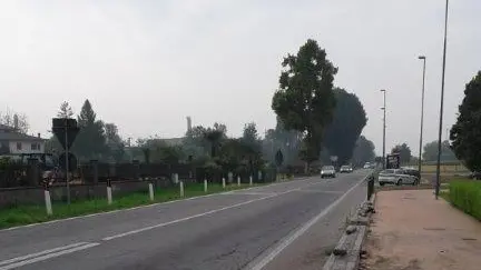 I paletti divelti dall'auto