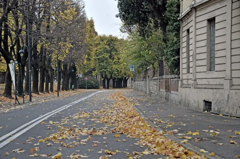 L'autunno è arrivato, con pioggia e vento