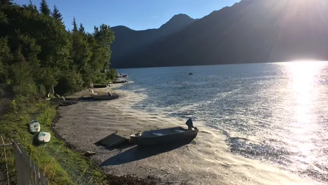 Eridio, fioritura alghe