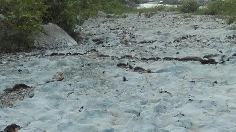 Le analisi. Il sedimento dell’alveo del fiume Chiese nella zona Ponte San Pancrazio