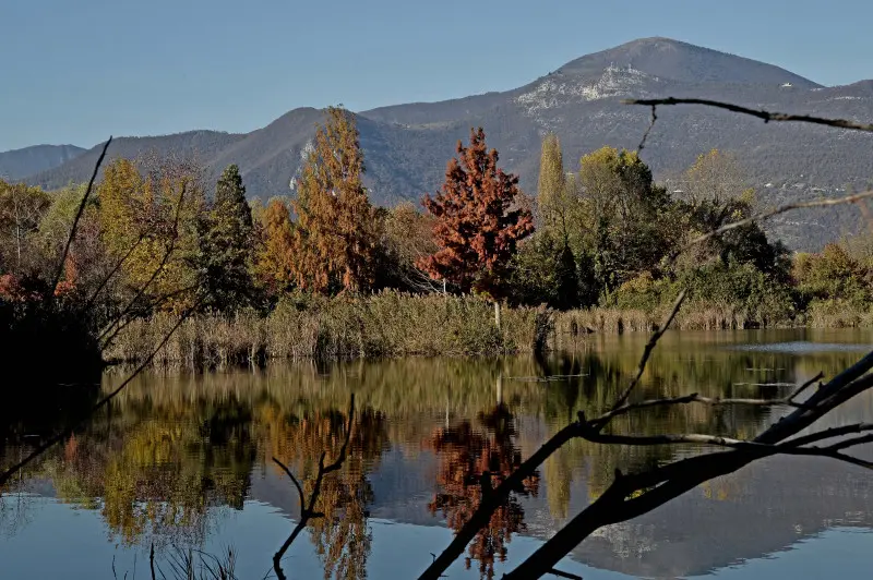 La riserva naturale delle Torbiere in autunno