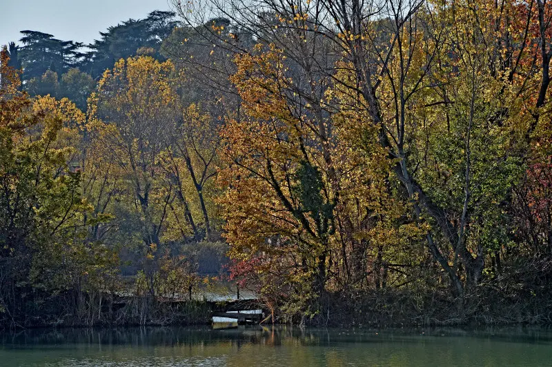 La riserva naturale delle Torbiere in autunno