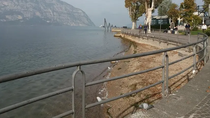 Sempre più giù. Il lago d’Iseo è quasi in secca