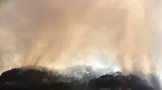 Gli incendi nel sud della Francia