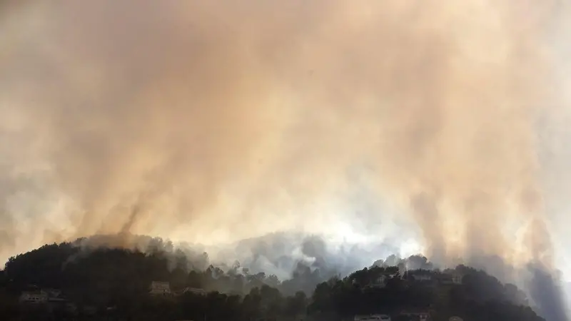 Gli incendi nel sud della Francia