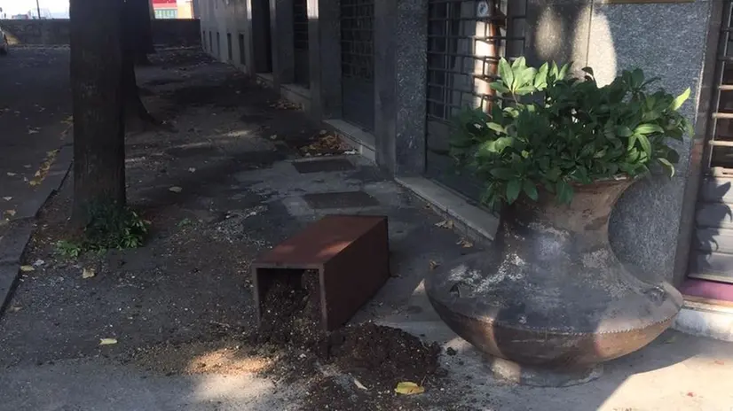 Fioriere a terra davanti alla Spa