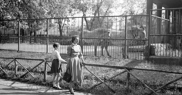 Alcune foto ricordo dello zoo in Castello