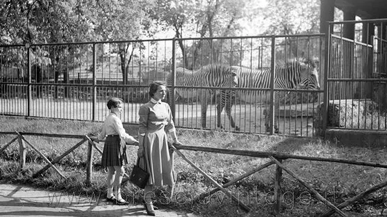 Alcune foto ricordo dello zoo in Castello