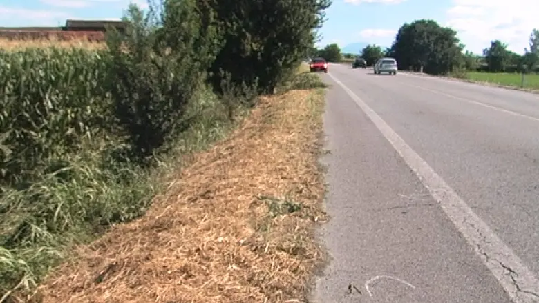 Carpenedolo, il luogo della tragica uscita di strada