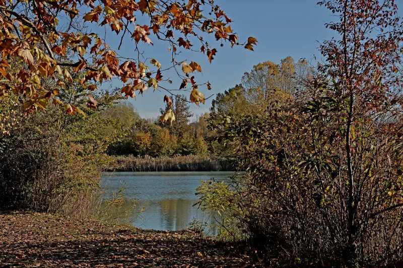 La riserva naturale delle Torbiere in autunno