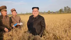 Il leader nordcoreano Kim Jong-un - Foto Ansa/Ap/KNS