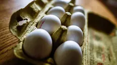 Proseguono in Italia i controlli sulle uova