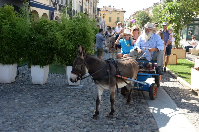 In piazza con noi a Orzinuovi