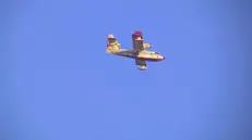 Canadair, elicottero e volontari sul Monte Pizzocolo