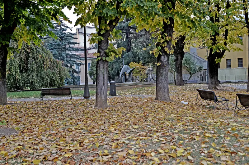 L'autunno è arrivato, con pioggia e vento