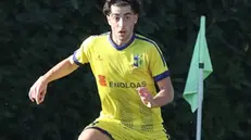 David Lordkipanidze
