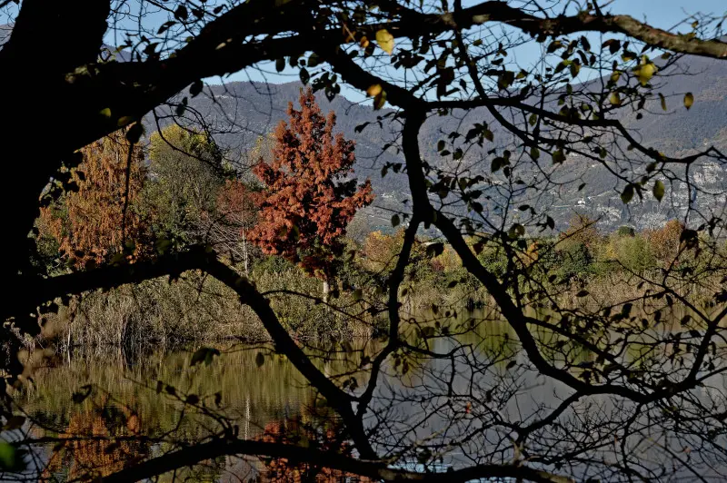 La riserva naturale delle Torbiere in autunno