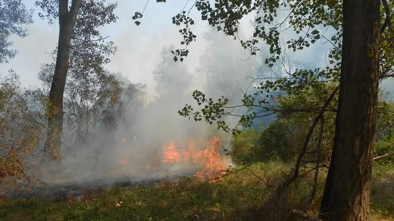 Alcune immagini dal Parco dell'Oglio