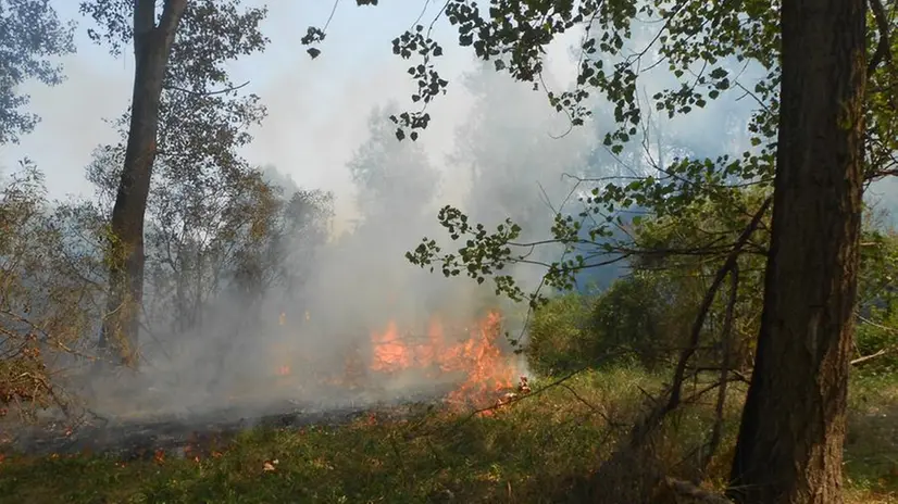 Alcune immagini dal Parco dell'Oglio