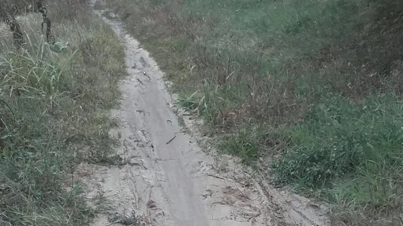 Sulla stradina. La ciclopedonale parallela al fiume invasa dalla sostanza