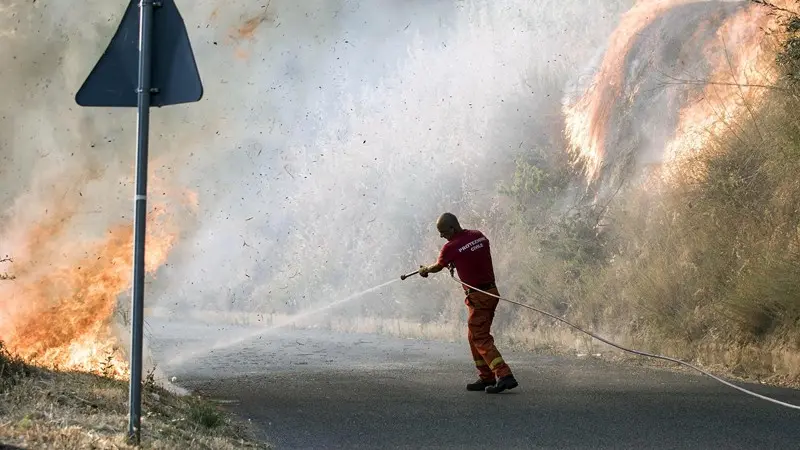 Un incendio a San Pietro in Guarano, nei pressi di Cosenza - Foto Ansa/Francesco Arena