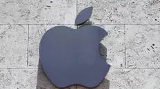 Apple presenterà il nuovo modello il 12 settembre - Foto Ansa/Ap Alan Diaz