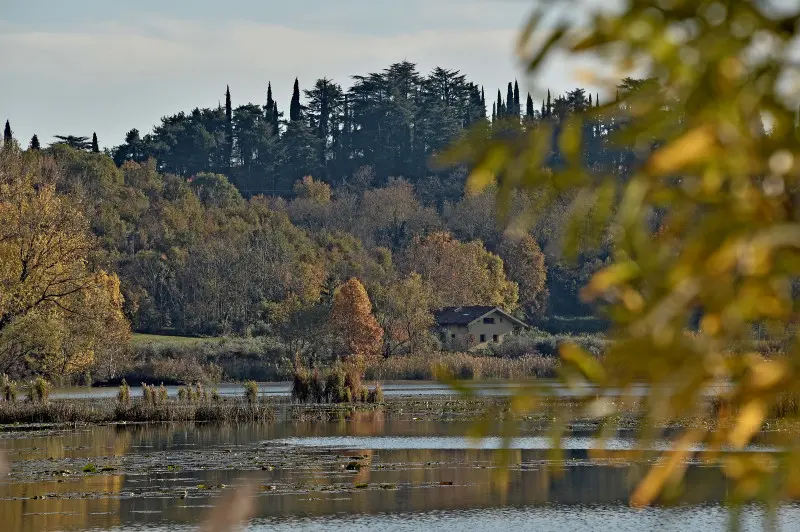 La riserva naturale delle Torbiere in autunno