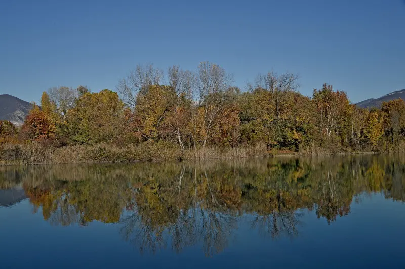 La riserva naturale delle Torbiere in autunno