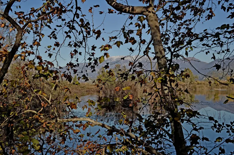 La riserva naturale delle Torbiere in autunno