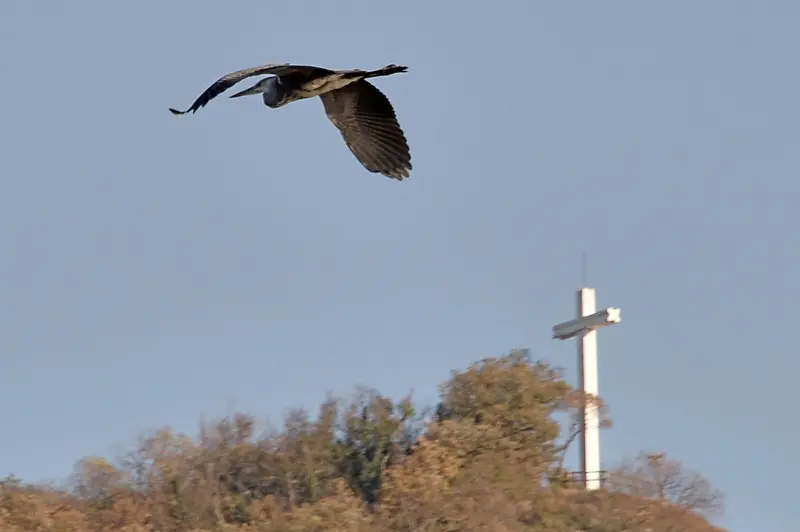 La riserva naturale delle Torbiere in autunno