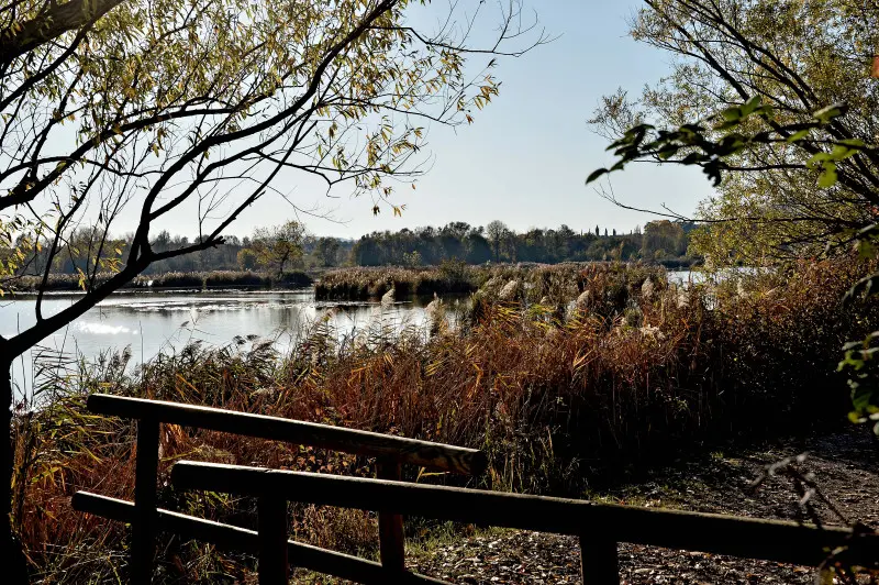 La riserva naturale delle Torbiere in autunno