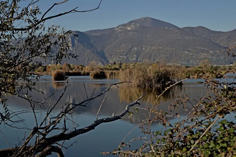 La riserva naturale delle Torbiere in autunno