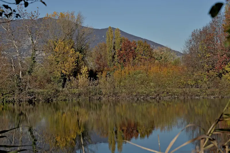 La riserva naturale delle Torbiere in autunno