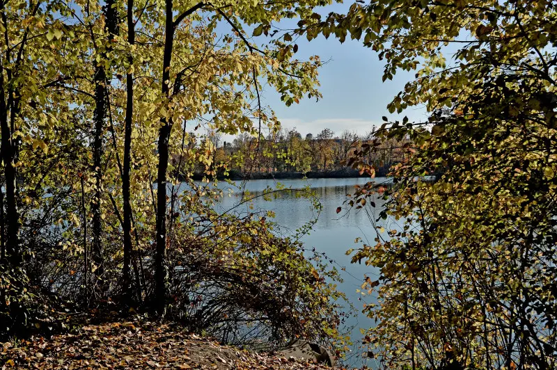 La riserva naturale delle Torbiere in autunno