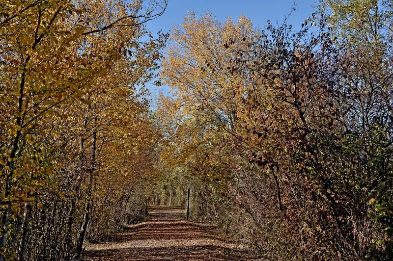 La riserva naturale delle Torbiere in autunno