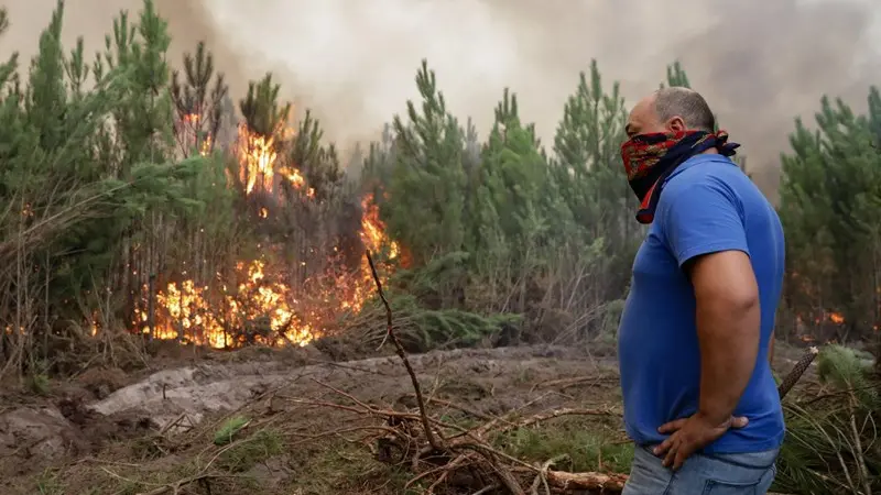 Incendi in Portogallo - Foto Ansa/Epa Tiago Petinga