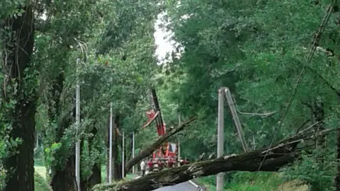 Rudiano, alberi caduti e strada chiusa