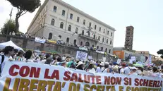 La manifestazione a Roma
