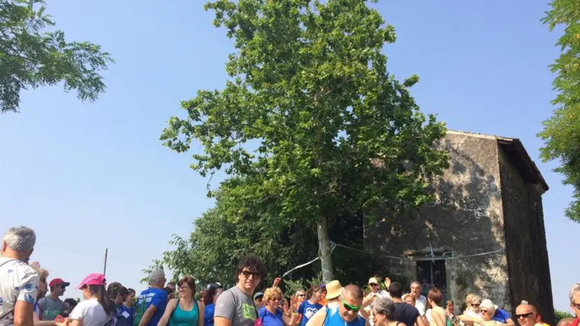 Il Festival del cammino