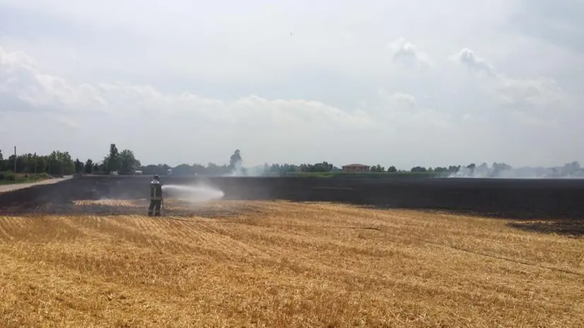 I danni dell'incendio nella Bassa