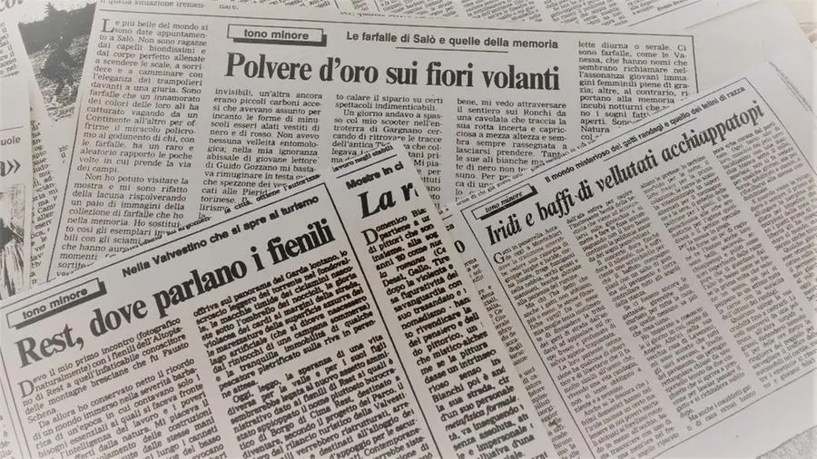 Renzo Bresciani, giornalista e scrittore